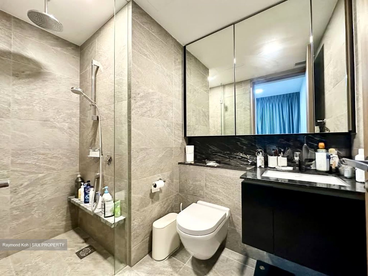 Daintree Residence (D21), Condominium #566385791
